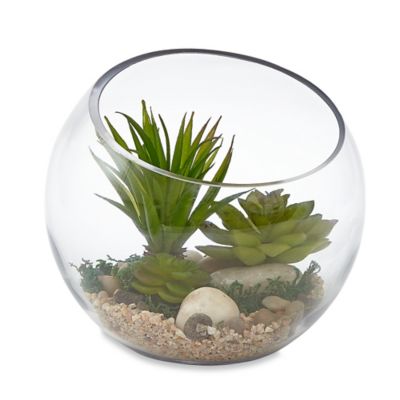 Glass Habitat Terrarium with Faux Succulents Bed Bath 