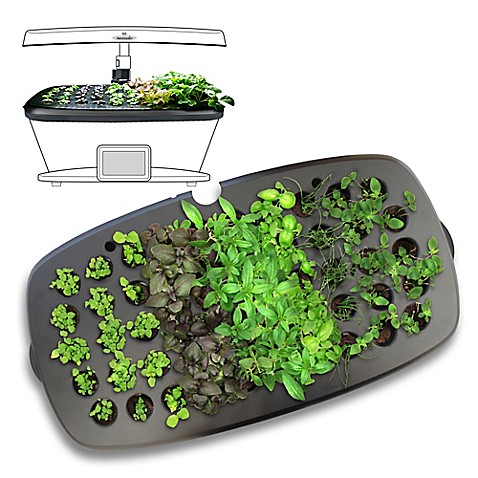Miracle-Gro® AeroGarden™ Bounty Seed Starting System - Bed ...