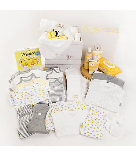 Baby Bee Box™: Color - Multi