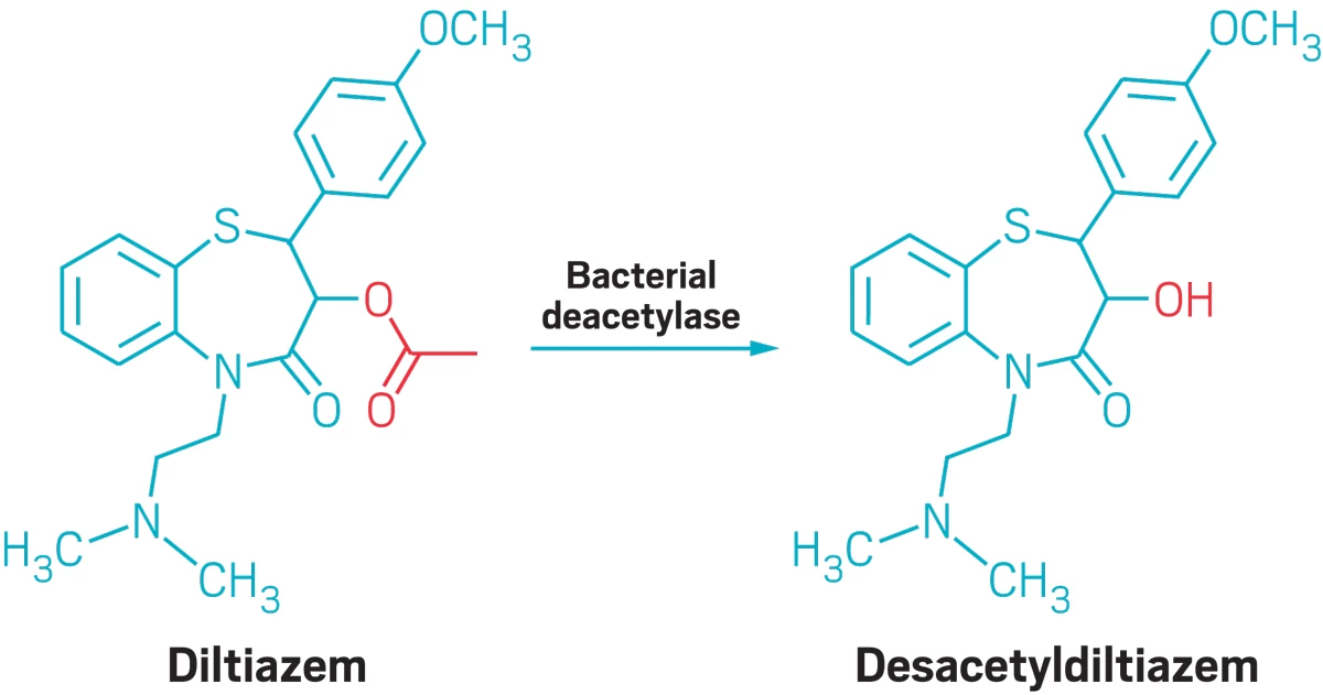 A reaction between a deacetylase and diltiazem.