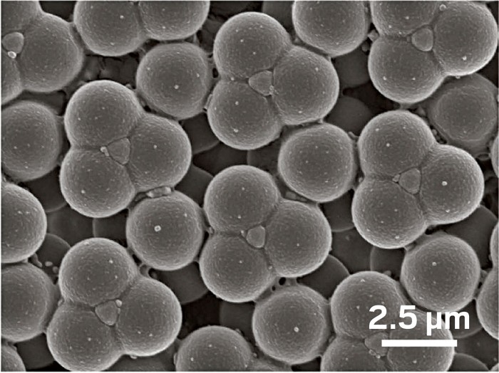 Colloidal chemistry route to materials with diamond crystal structure