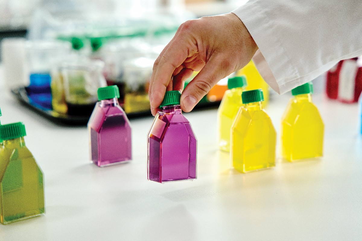 A person lifts a bottle filled with purple gelatin dessert. The bottle is displayed near others filled with green, yellow, and blue gelatin desserts. 