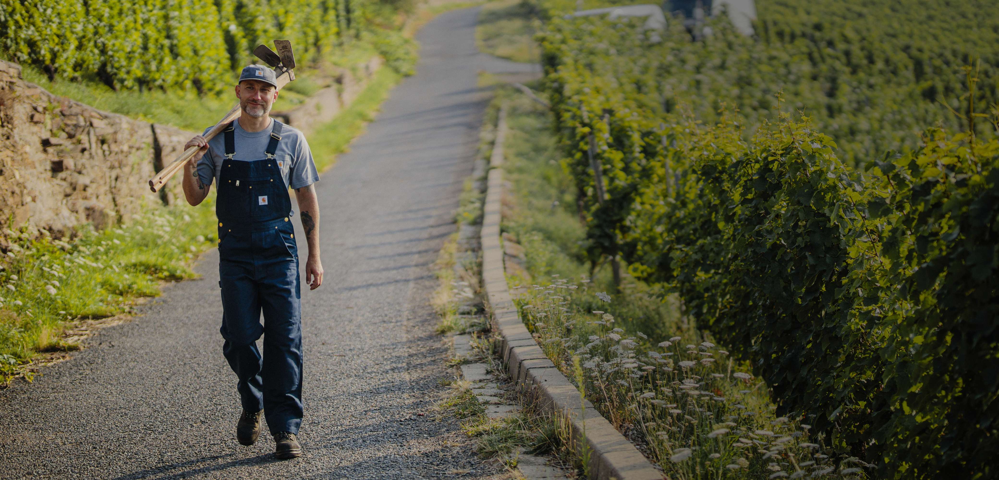 A worker wearing Carhartt dungarees and carrying tools through a vineyard