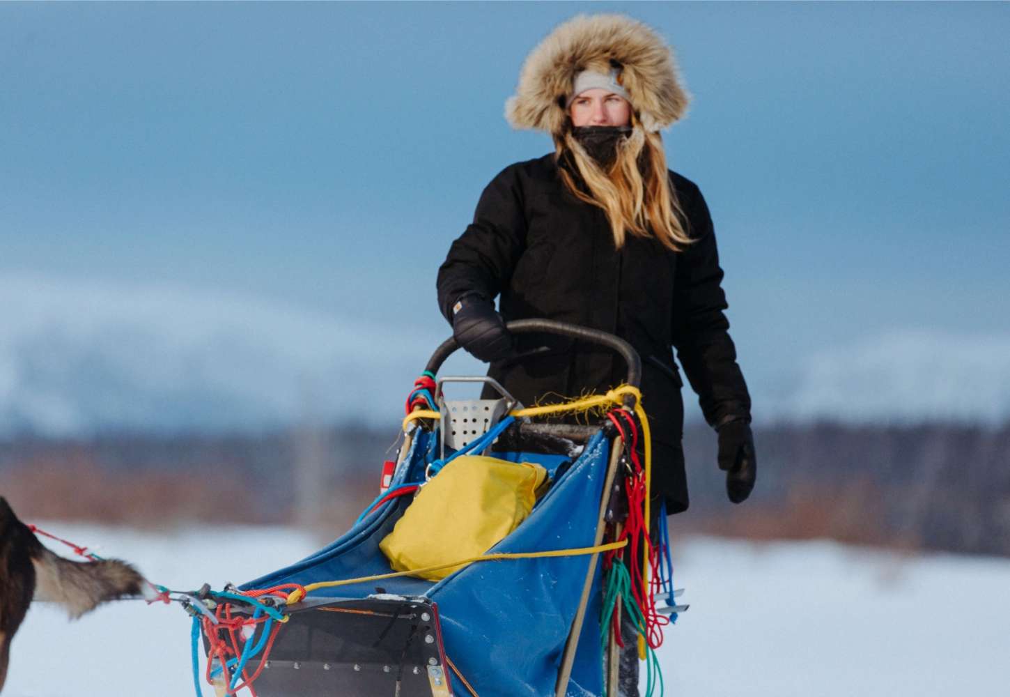 Carhartt | Yukon Extremes | Carhartt