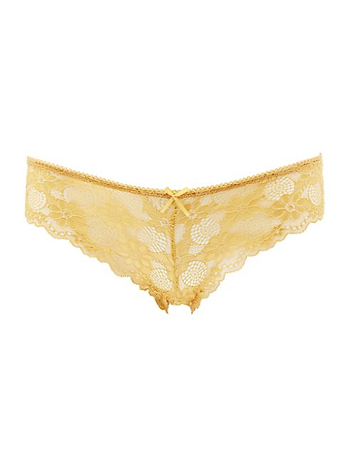 Sheer Lace Cheeky Panties | Charlotte Russe