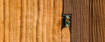 harvesting birds eye view