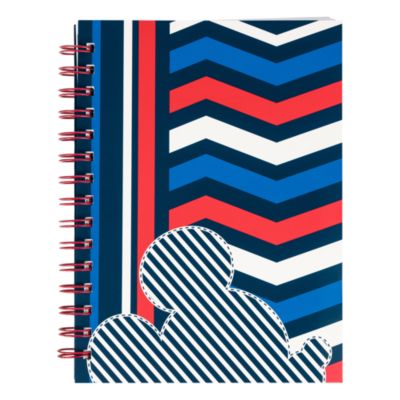 Carnet Rayures Rebelles Disneyland Paris