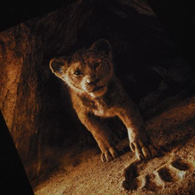 Camiseta El Rey Le&oacute;n para adultos, Disney Store