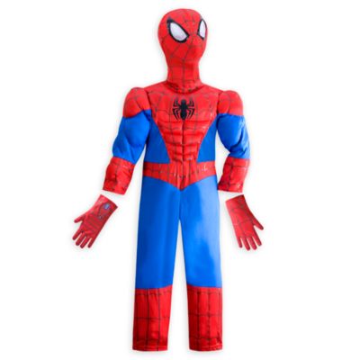 Ultimate Spider-Man Costume For Kids