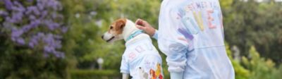 Oh My Disney Emprende incre&iacute;bles aventuras perrunas con nuestra colecci&oacute;n de ropa, art&iacute;culos de hogar y mucho m&aacute;s 