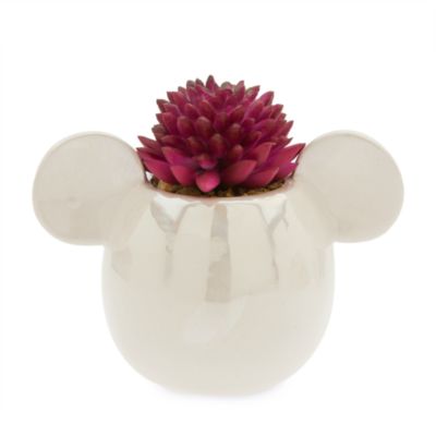 Planta artificial Mickey Mouse, Disney Store