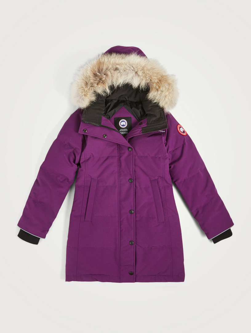 juniper canada goose