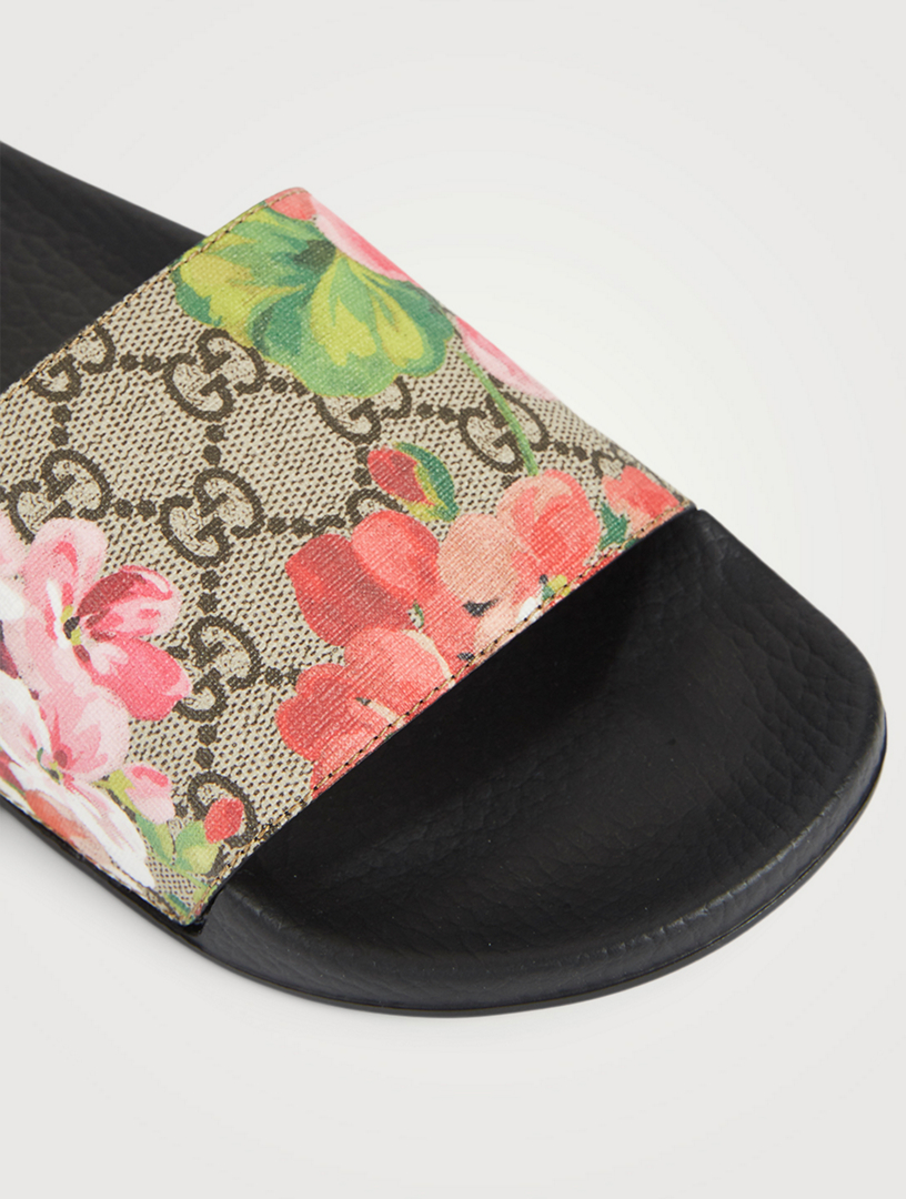 gg bloom slides