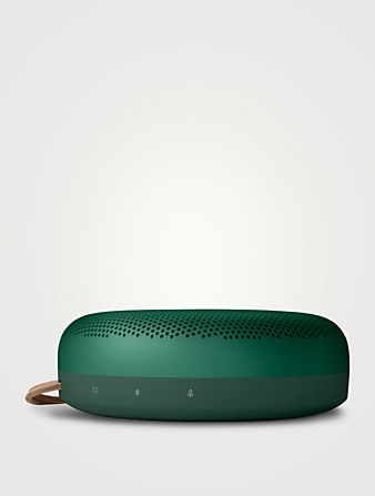 BANG & OLUFSEN Beosound A1 2nd Generation Waterproof Bluetooth Speaker Home Green