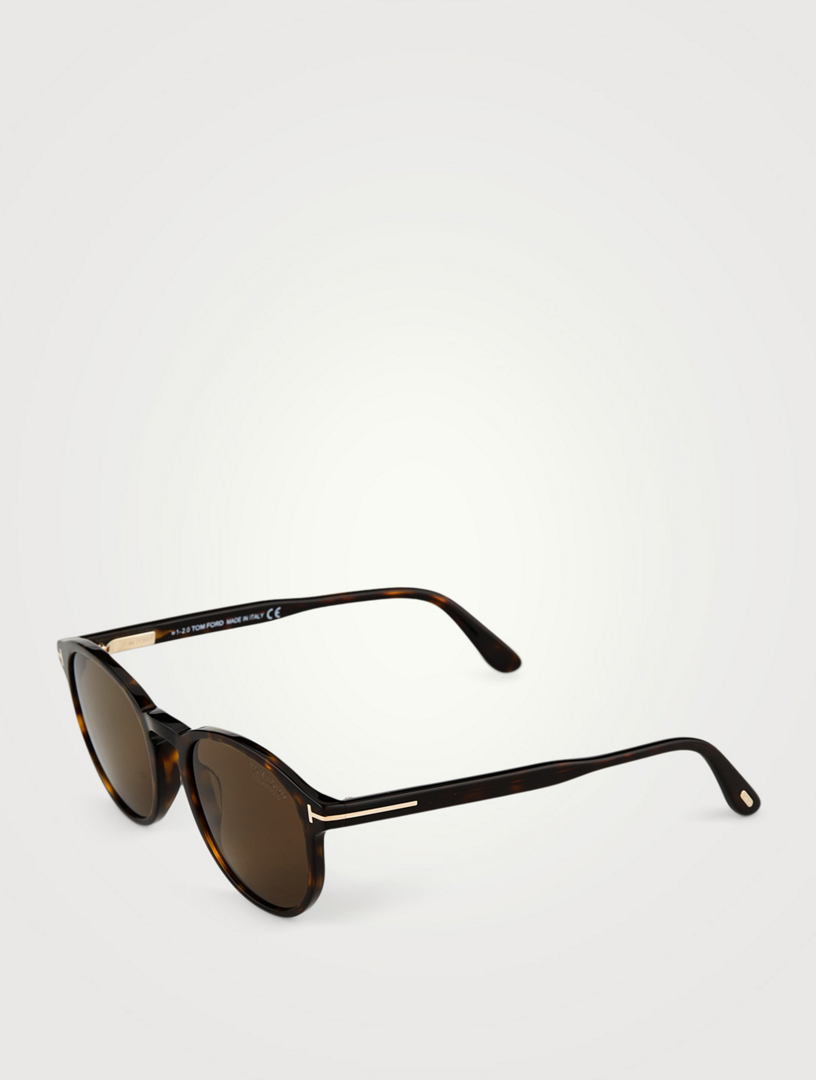 TOM FORD Dante Round Polarized Sunglasses | Holt Renfrew Canada