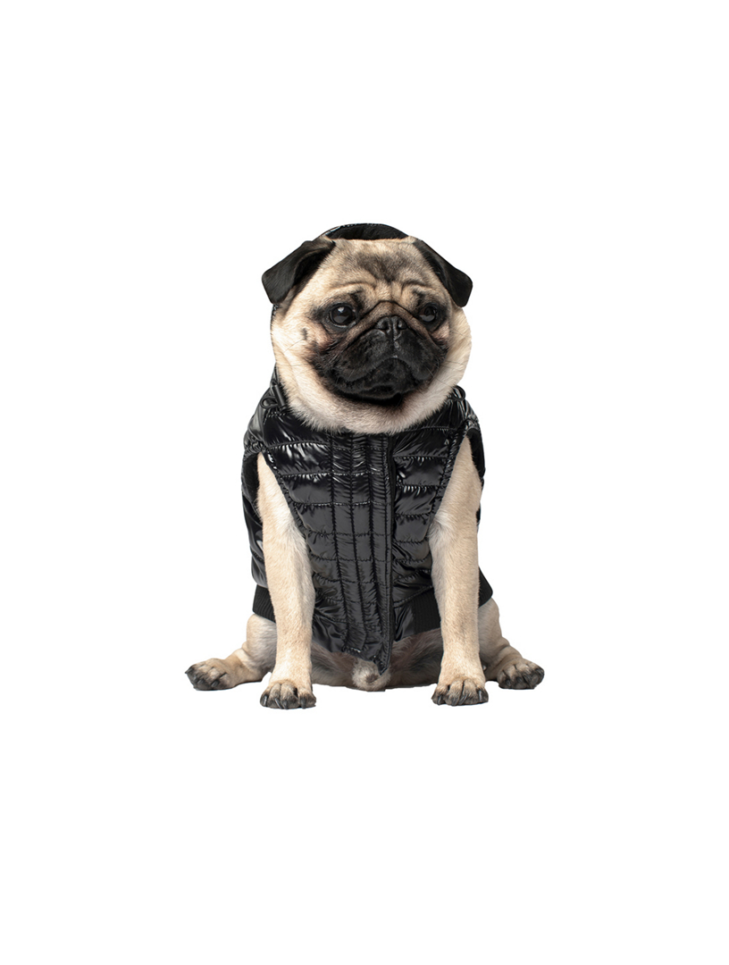 CANADA POOCH Shiny Puffer Vest Home Black