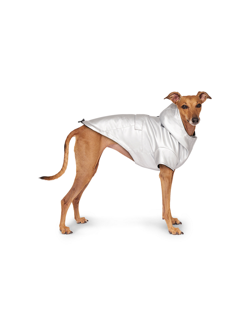 CANADA POOCH Cold Front Raincoat Holt Renfrew Canada