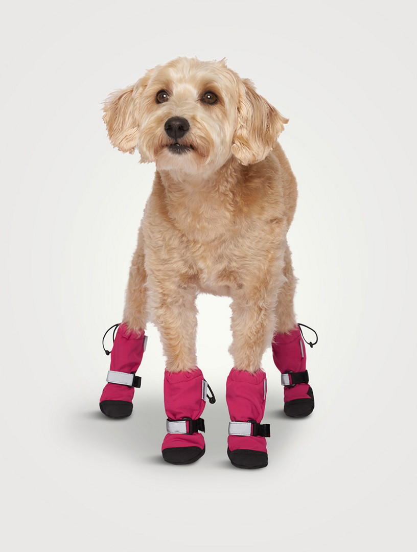 CANADA POOCH Soft Shield Boots Holt Renfrew Canada
