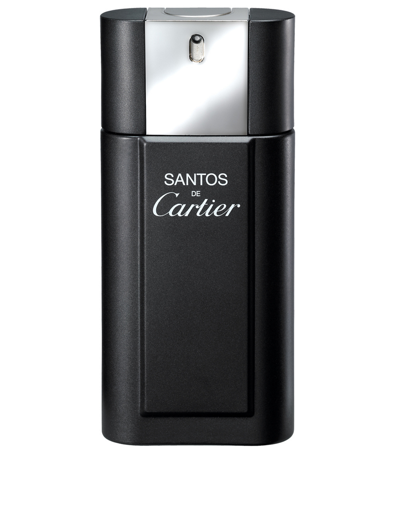 Cartier santos clearance 100 ml