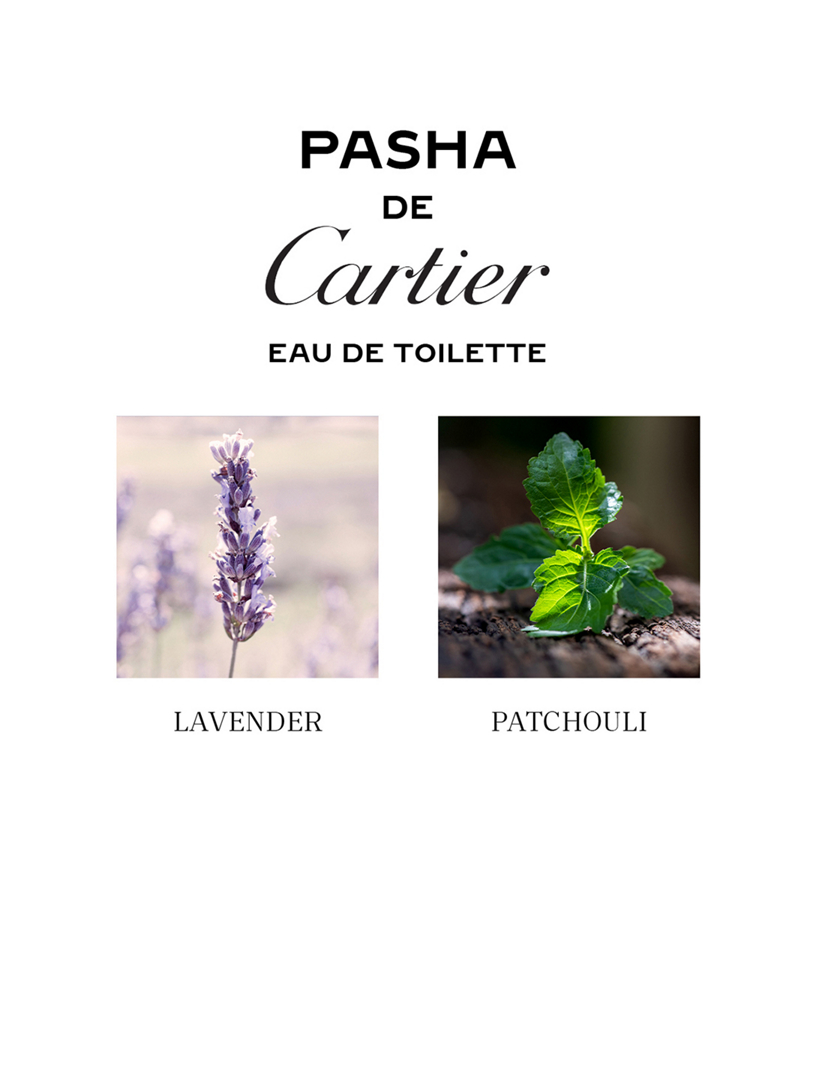 CARTIER Pasha Eau De Toilette | Holt Renfrew