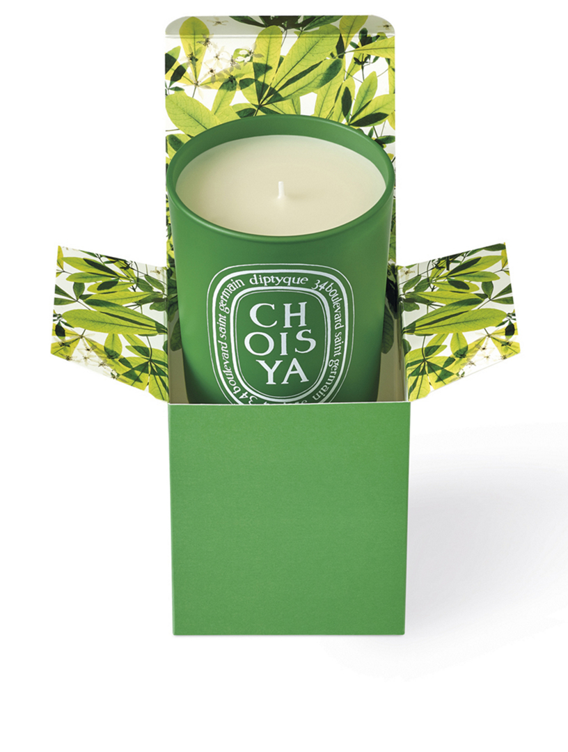 DIPTYQUE Choisya Candle Limited Edition Holt Renfrew Canada