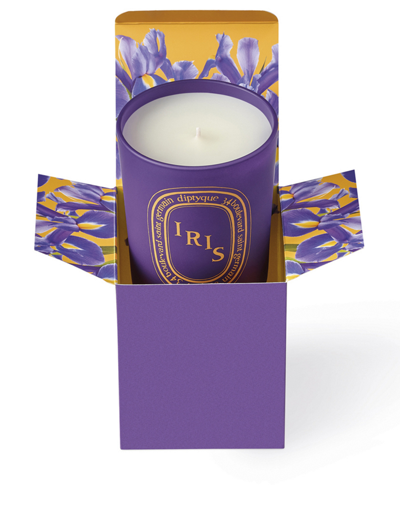 DIPTYQUE Iris Candle Limited Edition Holt Renfrew Canada