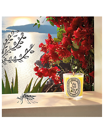 DIPTYQUE Citronnelle Candle - Limited Edition Women's 