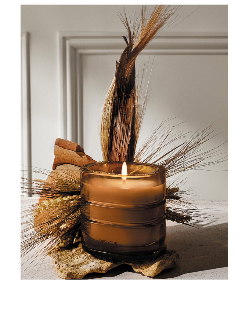 DIPTYQUE Terres Blondes Refillable Candle | Holt Renfrew