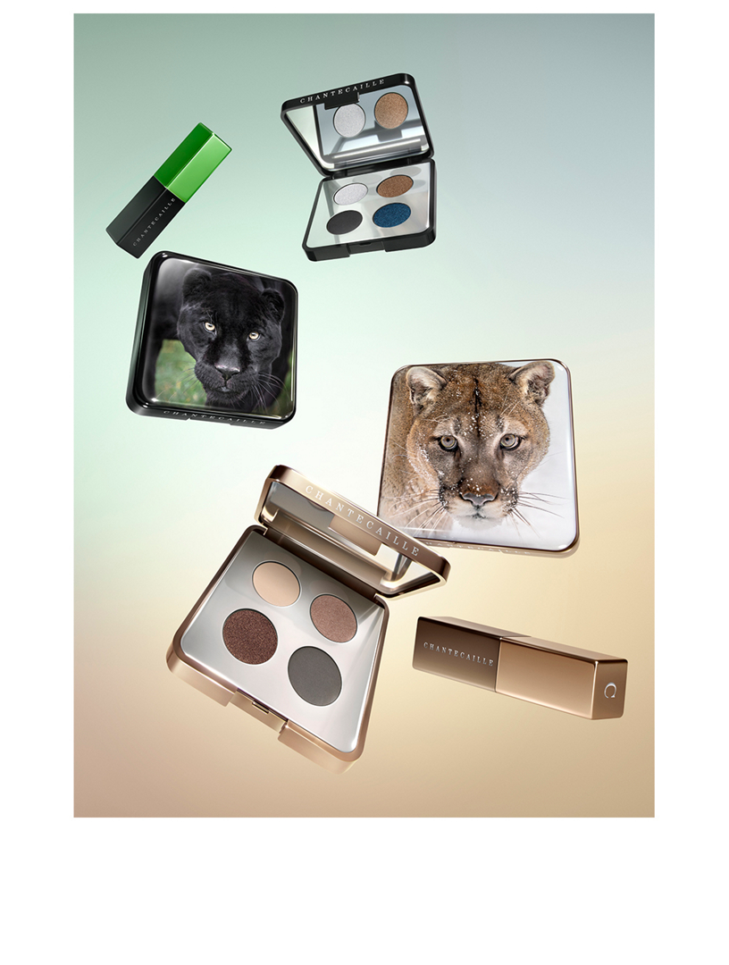 CHANTECAILLE Black Jaguar Eye Quartet Holt Renfrew Canada