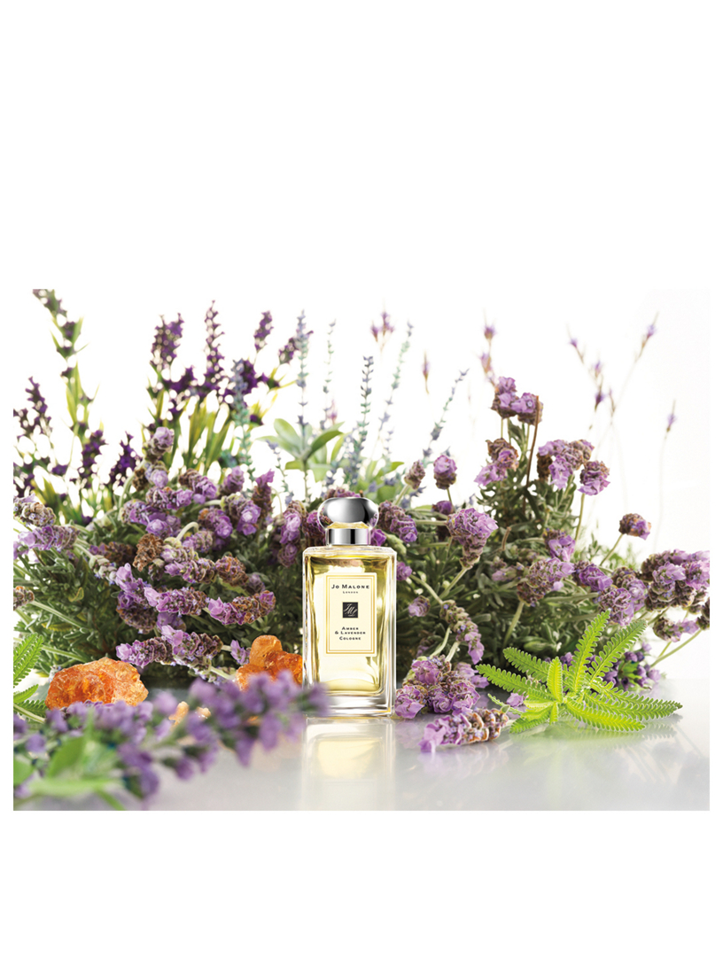 JO MALONE LONDON Amber & Lavender Cologne Holt Renfrew Canada