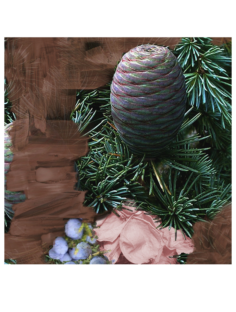 BYREDO Super Cedar Eau de Parfum | Holt Renfrew