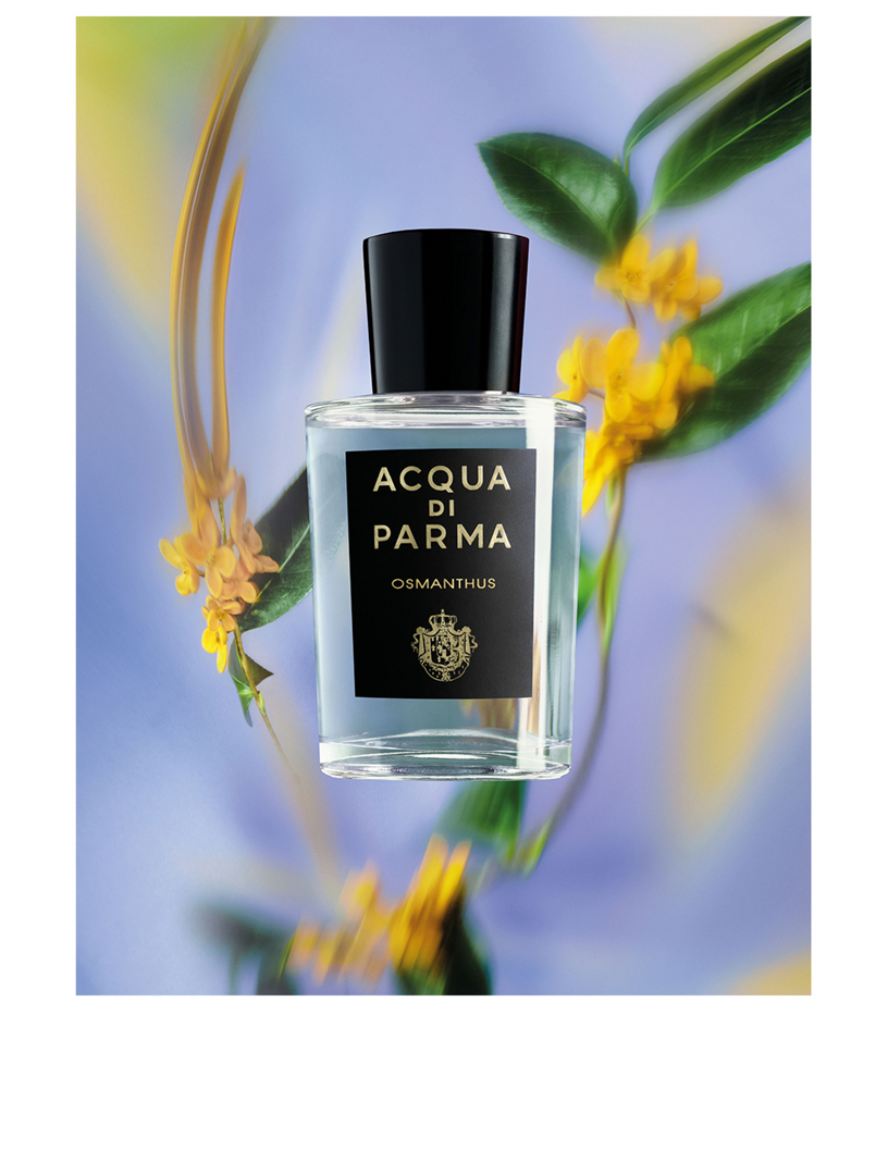 ACQUA DI PARMA Osmanthus Eau De Parfum | Holt Renfrew Canada