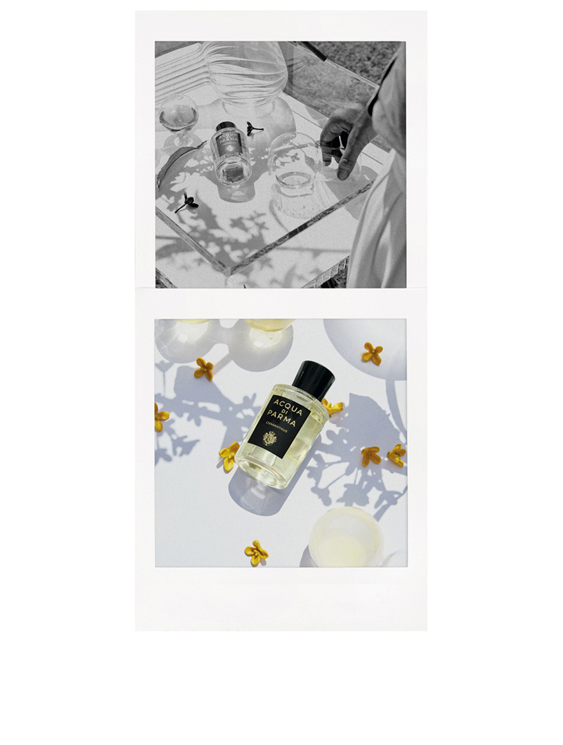 osmanthus eau de parfum acqua di parma