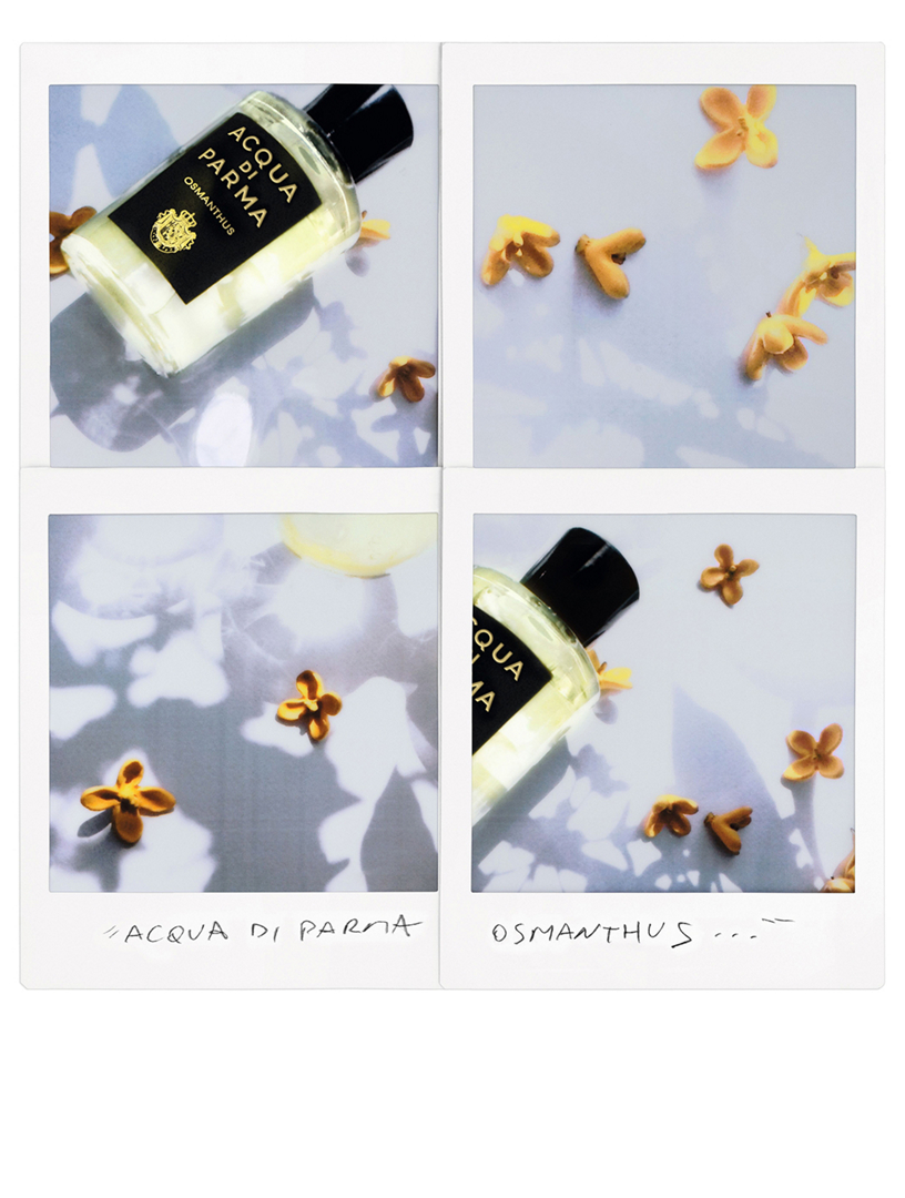 osmanthus eau de parfum acqua di parma