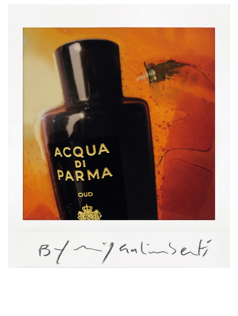 Acqua Di Parma Oud Eau De Parfum Holt Renfrew Canada