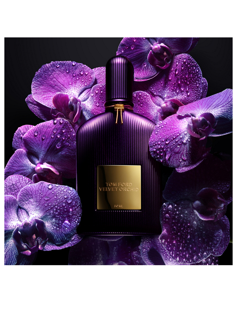 TOM FORD Velvet Orchid Eau De Parfum | Holt Renfrew