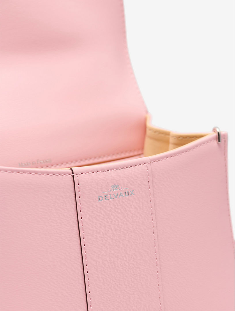 DELVAUX Brillant Mini S Box Calf | Holt Renfrew
