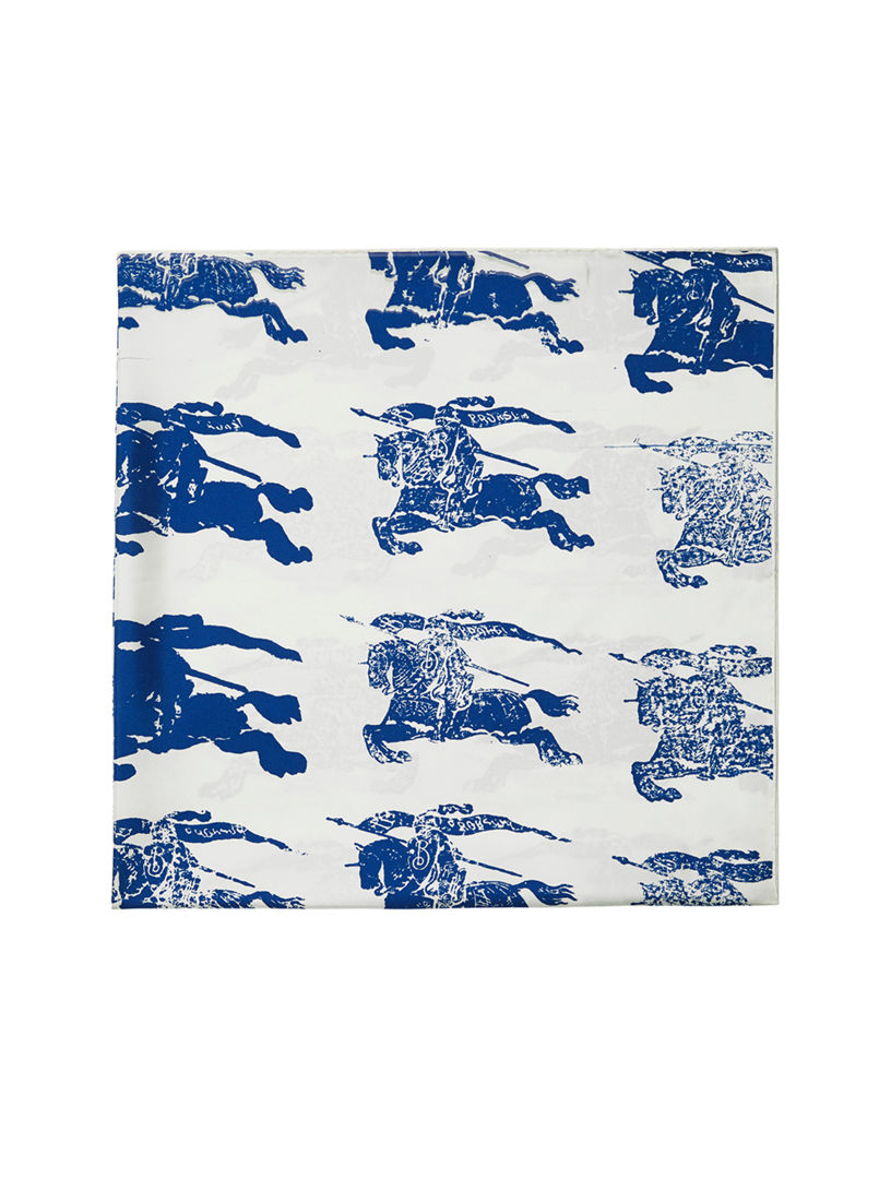Ekd Silk Scarf