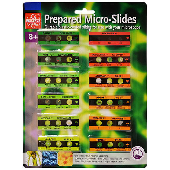 Prepared Microscope Micro-Slides - 12 Slides W/36 Assorted Specimens