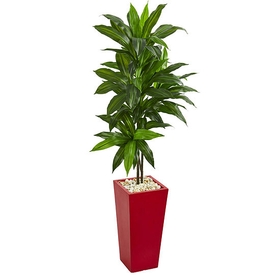 5’ Dracaena Artificial Plant in Red Planter (Real Touch)