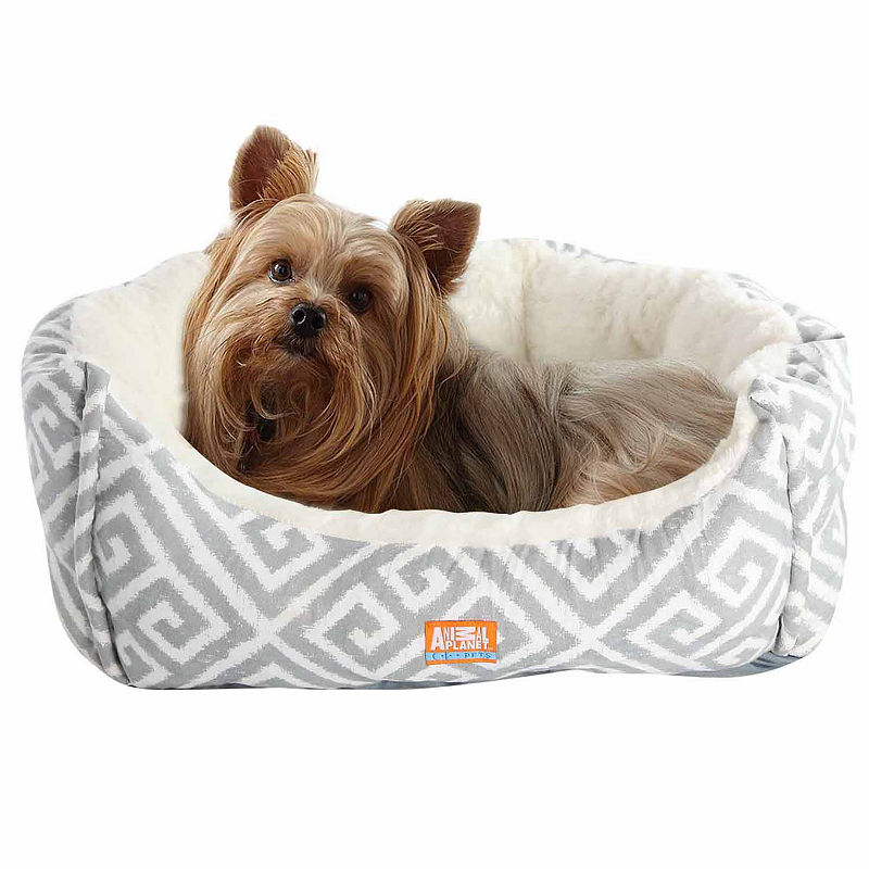 UPC 694202266090 product image for Animal Planet Small Micro-Suede Pet Bed | upcitemdb.com