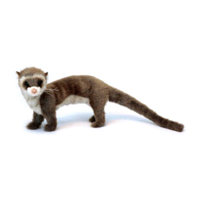 ferret plush toy