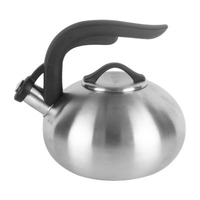 brushed stainless steel kettle