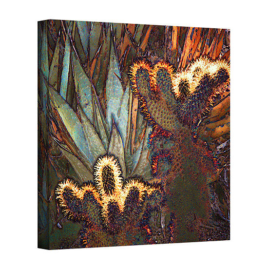 Borrego Cactus Patch Gallery Wrapped Canvas Wall Art