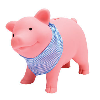 6 x 5 inches White Cute Novelty Pig Money Bank for Kids Truu Design