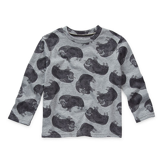 Thereabouts Toddler Boys Crew Neck Long Sleeve Graphic T-Shirt