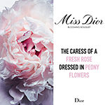 Dior Miss Dior Eau de Toilette Spray