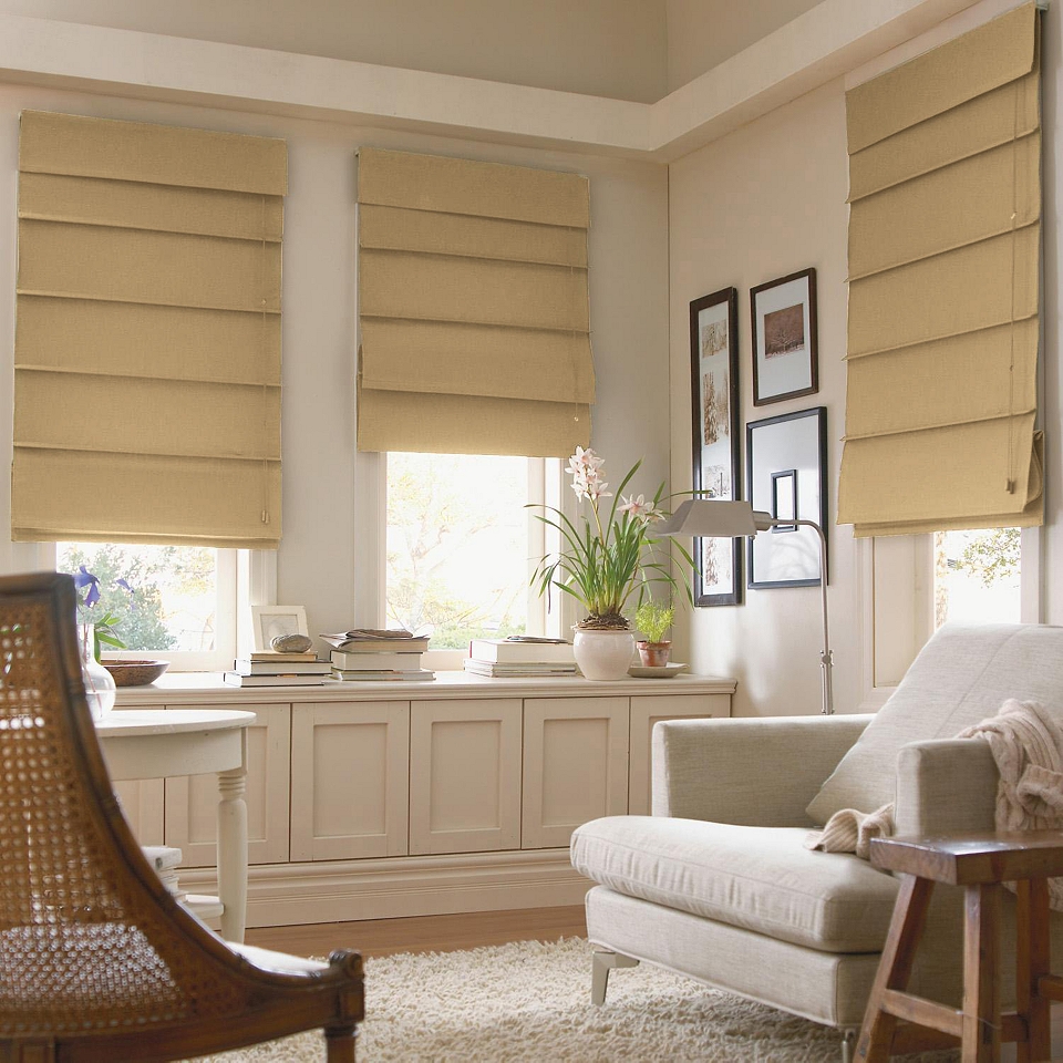 JCP Home Collection  Home Savannah Roman Shade, Ivory