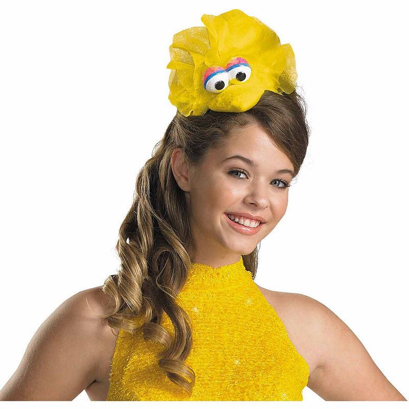 UPC 039897167466 product image for Buyseasons Sesame Street Womens Dress Up Accessory | upcitemdb.com