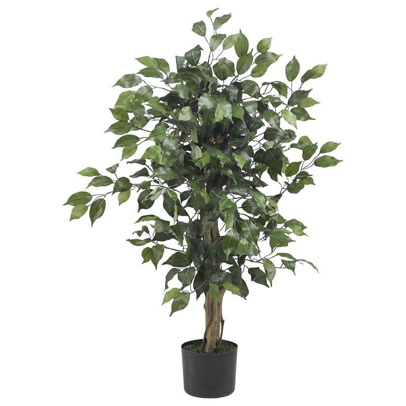 https://s7d9.scene7.com/is/image/JCPenney/DP0614201617121666M?wid=800&hei=800&op_sharpen=1